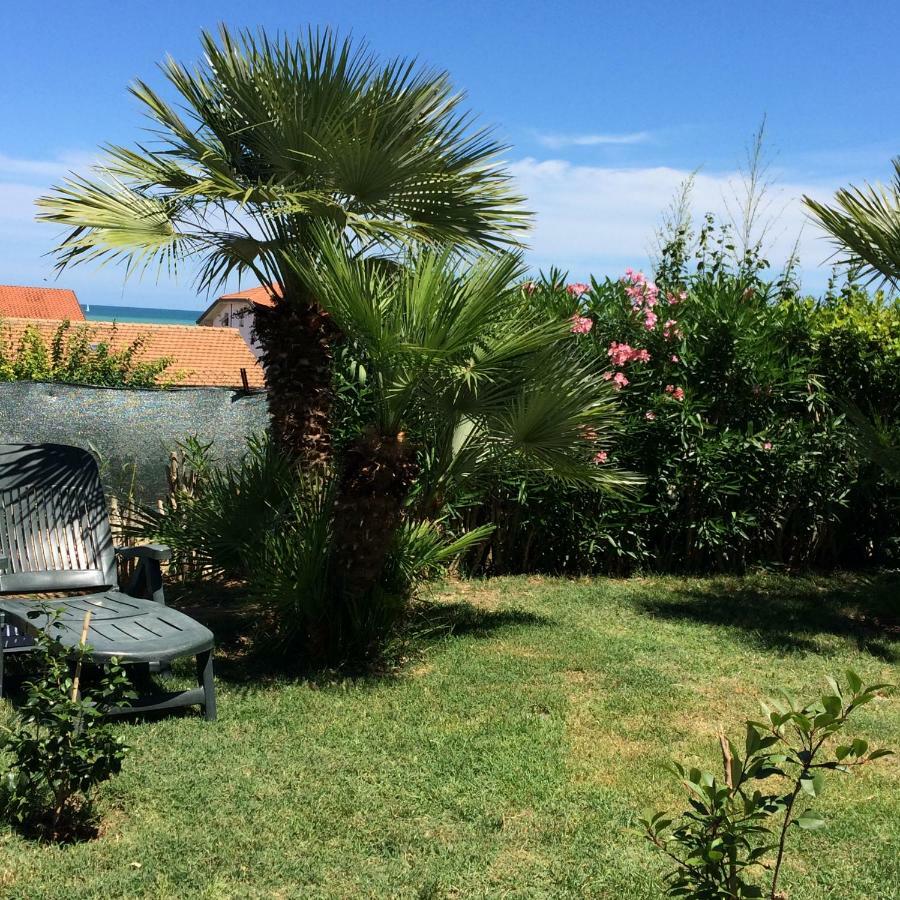 Casa "La Conchiglia" Civitanova Marche Exterior foto